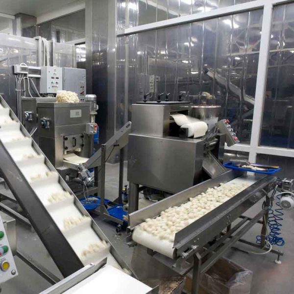 Food Processing Custom Machine Building Specialists Sydney